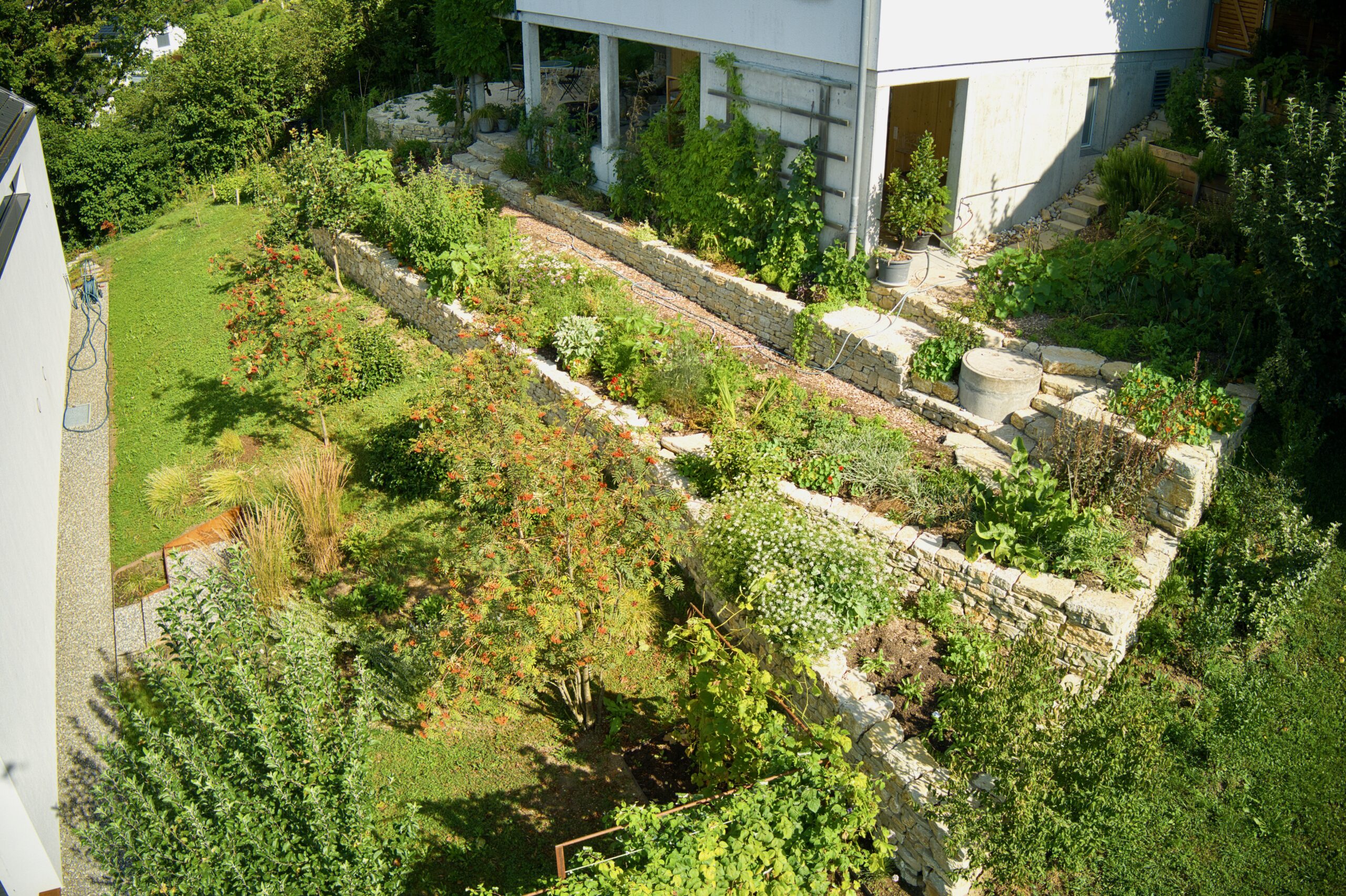 Panoramastrasse (29)